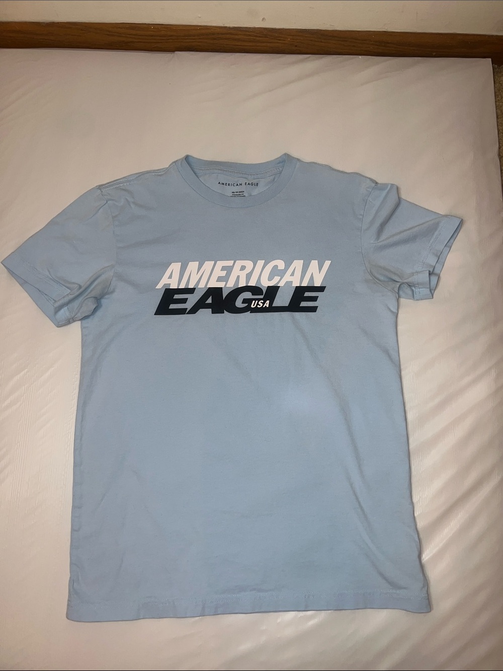 American Eagle Outfitters Light Blue Graphic Logo Tee